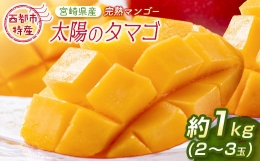 最高級ブランド『太陽のタマゴ』3Lサイズ2個または、2Lサイズ3個宮崎県西都市産完熟マンゴー＜3-48＞
