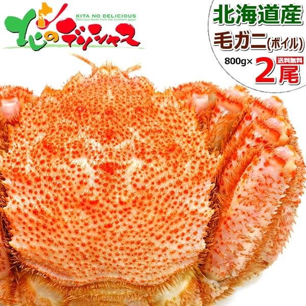 お歳暮 カニ 北海道産 毛ガニ 2尾 800g×2(姿 ボイル冷凍) 特大 海鮮 ボイル けがに 毛蟹 ギフト 贈り物 お祝い お礼 お返し のし 北海道 グルメ お取り寄せ