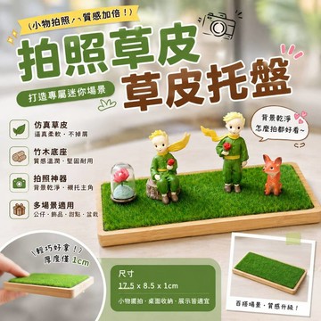 廢物專賣店 草皮托盤 拍照草皮 拍照道具 竹木墊子 桌面公仔 模型底座 樹脂PVC 小擺件飾品 人造草皮 假草皮