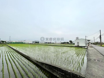 專任！烏日北里段重劃區農地｜臨路現有水稻｜台中市烏日區北里段