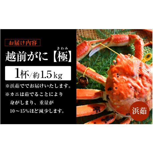 ふるさと納税 福井県 越前町 越前がに本場の越前町からお届け！越前がに極 浜茹で × 1杯（生で約1.5kg）極タグ付き！正真正銘の越前がに極！…