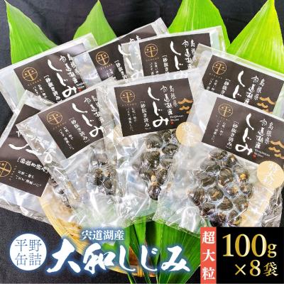 ふるさと納税 松江市 宍道湖産大和しじみ 砂抜き済 特大粒100g×8袋