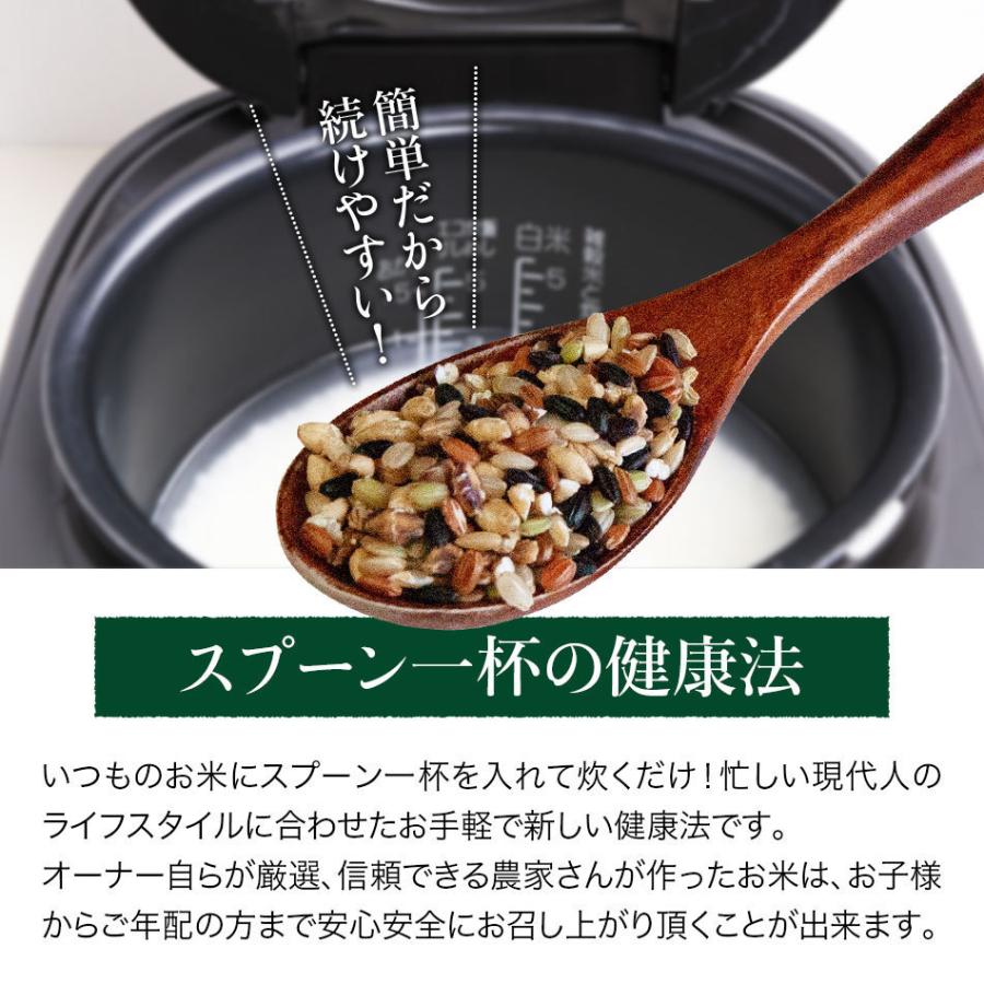 お米にひとさじ 久留米産 6種ブレンド 65g 雑穀米