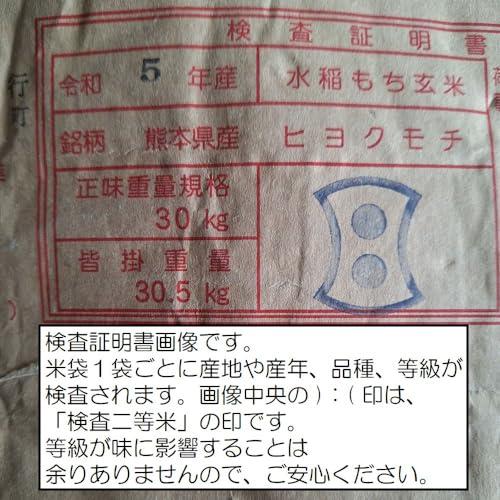 新米 令和5年 熊本県産 もち米 ひよくもち 白米 5kg