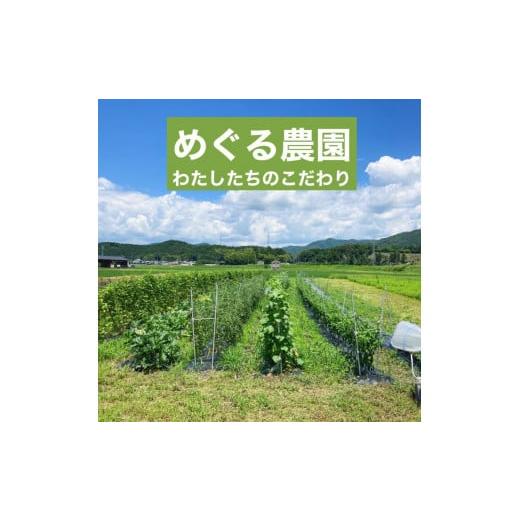 ふるさと納税 京都府 亀岡市 旬の味！お野菜 詰め合わせBOX 8〜10品目×6回（栽培期間中 農薬・化学肥料不使用）京都 亀岡 京野菜…