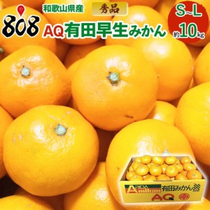 秀品 AQ有田早生みかん S～Lサイズ 約10kg(北海道沖縄別途送料加算)早生みかん ミカン 蜜柑 旬の