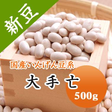 豆 白いんげん豆 北海道産 大手亡 令和４年産 500g