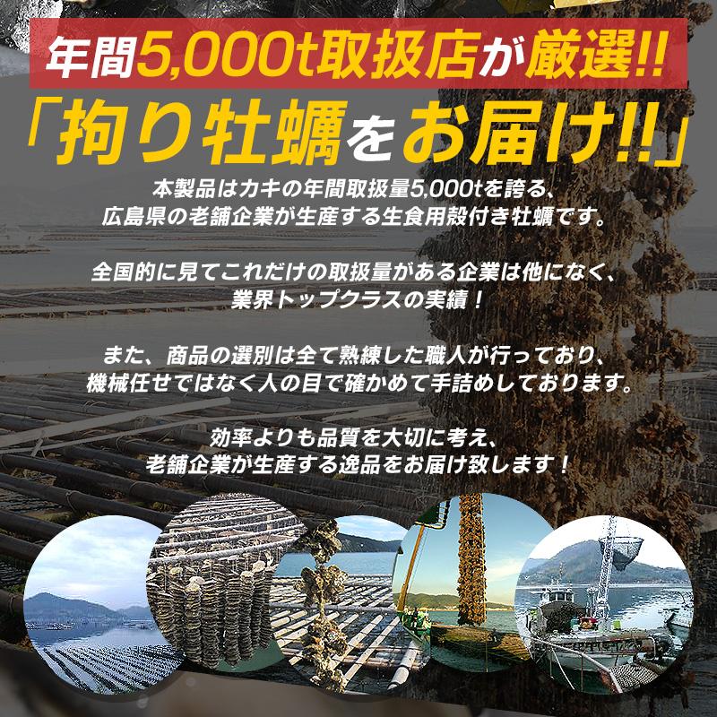 カキ かき 牡蠣 生食用 殻付き 12個 冷凍 兵庫県室津産 冷凍殻付き牡蠣 お歳暮 ギフト