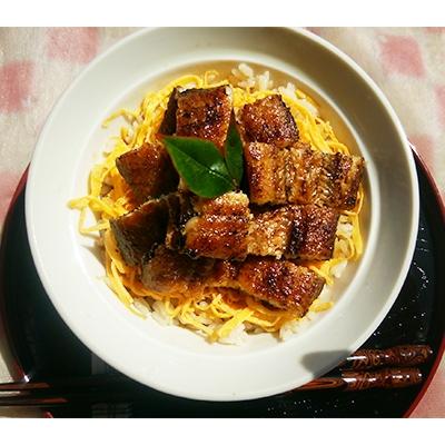 ふるさと納税 嬉野市 手焼き炭火焼きうなぎ蒲焼 (1尾・タレ付き)