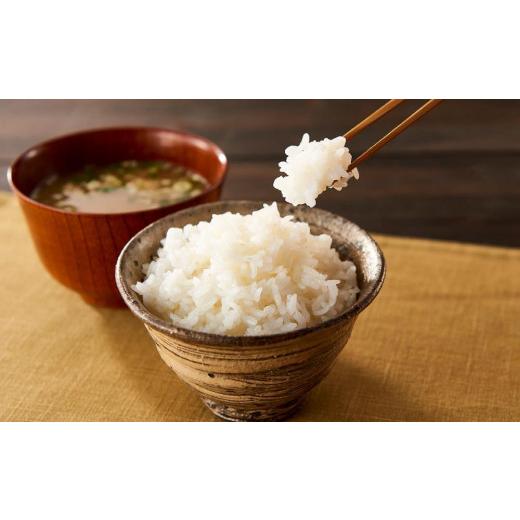 ふるさと納税 兵庫県 豊岡市 パックご飯 200g×24食 コウノトリ育むお米 減農薬 米 ライス