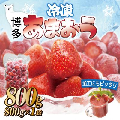 ふるさと納税 岡垣町 福岡県産冷凍あまおう800g(800g×1袋)(岡垣町)