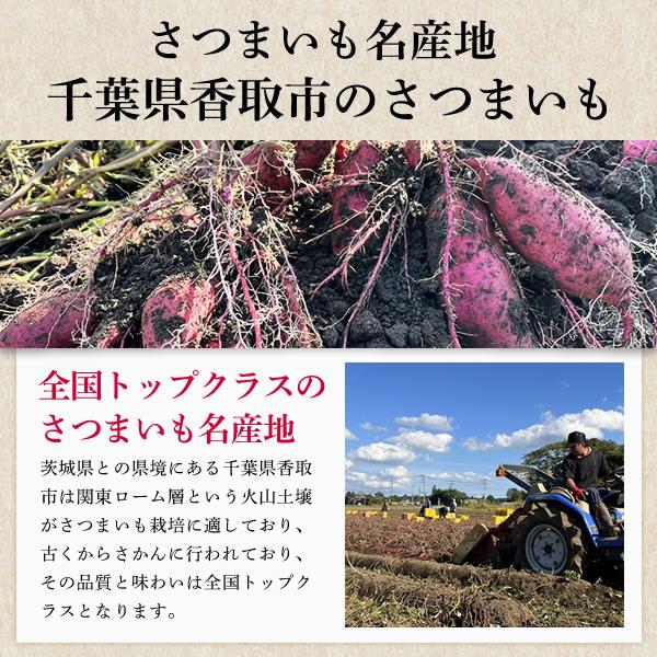 さつまいも 紅はるか 5kg M・Lサイズ 送料無料 サツマイモ さつま芋 千葉県産 国産