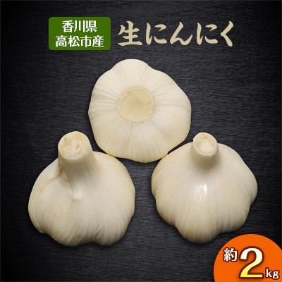 ふるさと納税 高松市 生にんにく　約2kg