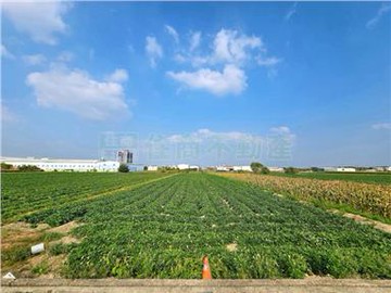 (漂亮地)新化竹子腳段477臨路農地｜台南市新化區竹子腳