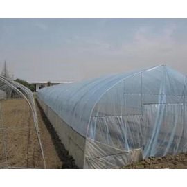 【單體溫室大棚-GP-625-0610】溫室大棚骨架 GP-625型號 熱鍍鋅 寬6長10米間距1米 肩高1.5米頂高2.5米，不含運費(預購&海運)-5101007