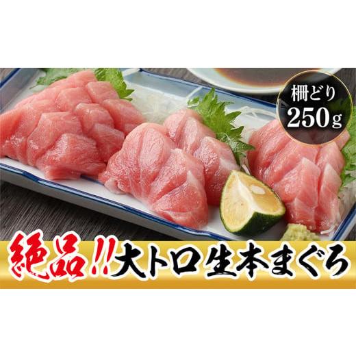 ふるさと納税 福井県 越前市 生本マグロ 大トロ 250g（柵どり）