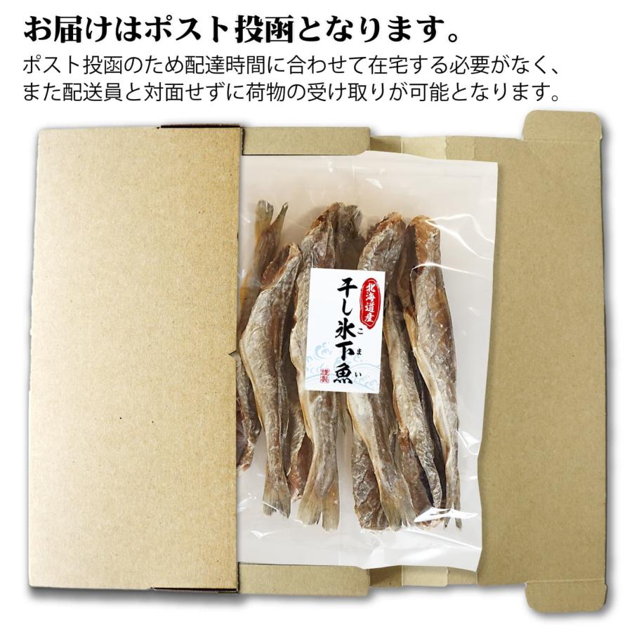 おつまみ 干し 氷下魚(こまい) 約280g 北海道産 干しコマイ 中サイズ 8〜12尾程度 珍味 こまい カンカイ