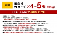 期間限定 八代特産 晩白柚（ばんぺいゆ）2Lサイズ(約2kg)×4玉～5玉