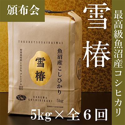 ふるさと納税 津南町 2024年1月発送開始『定期便』高級魚沼産コシヒカリ「雪椿」5kg全6回