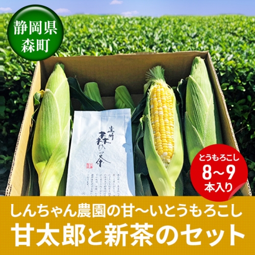 大人気！しんちゃん農園の甘～いとうもろこし甘太郎と新茶のセット（とうもろこし8～9本入り、新茶1P）