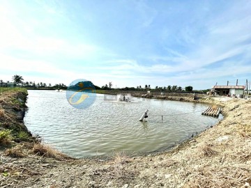 高雄大學旁|臨路農地|橋頭頂鹽田段增值農地｜高雄市橋頭區頂?田段