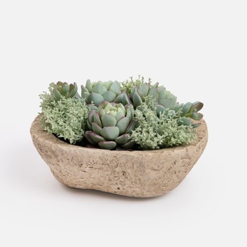 艾禮思擬真盆栽多肉組合15xH10cm