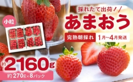 福岡県産ブランドいちご（1月-4月配送）あまおう(小粒、約270g×8パック) R00302