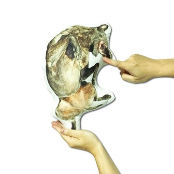 客製化 / 手工定製 抱枕 禮物 客製  搞怪 搞怪抱枕  客製化