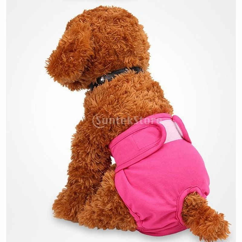 犬 超かわいい パンツ 雌犬 生理用 柔らかい おむつ 通気性 多色3サイズ ローズレッド S 通販 Lineポイント最大0 5 Get Lineショッピング