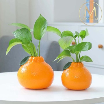 快速出貨🌷家居擺飾【Floral M】大橘大利水果造型陶瓷花瓶