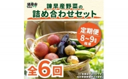 『定期便』_諫早産野菜の詰め合わせ(8～9品目程度)_全6回