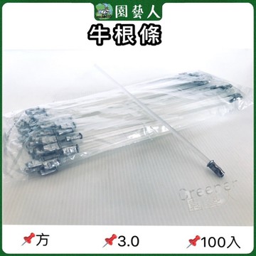 🌿園藝人🌿牛根條 方 3.0 100入 牛筋條