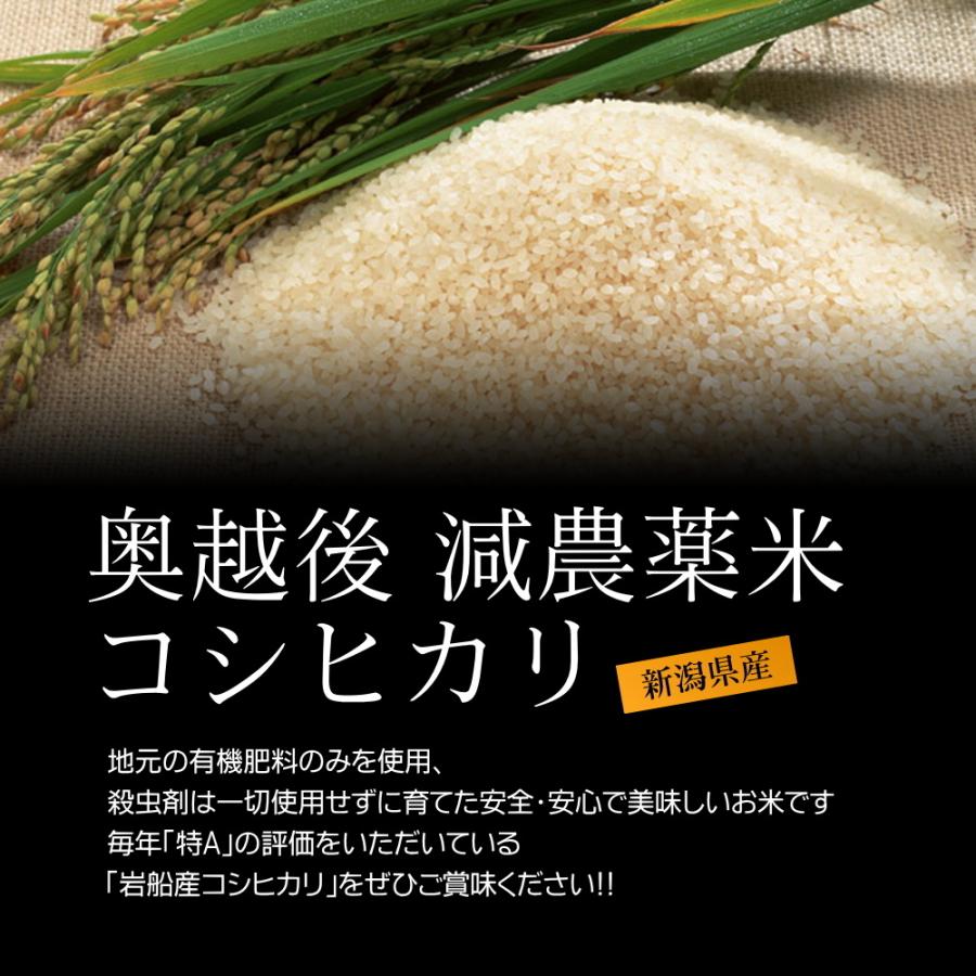 無洗米 農薬低減米 コシヒカリ 2kg 米 お米   低農薬 新潟 岩船産 令和5年産 新米   人気 おいしい 新潟米 こしひかり 送料無料