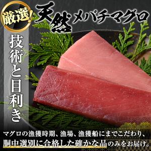 ふるさと納税 天然メバチマグロ　赤身約360g_yushin-967 鹿児島県長島町