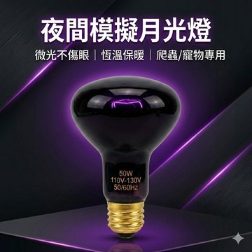陸龜驛站｜加熱燈泡 保溫燈泡 UVA 紫燈 夜燈 爬蟲兩棲 保暖曬背燈 陸龜 兩棲 澤龜 夾燈 鳥用 水龜 蜥蜴 保溫燈