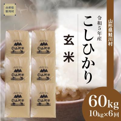 ふるさと納税 鮭川村  コシヒカリ定期便 60kg(10kg×6回お届け)山形県 鮭川村