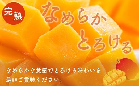 訳あり完熟アップルマンゴー1kg