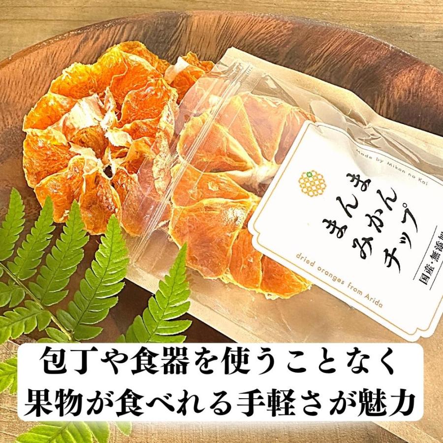 まんまみかんチップ 400g(20ｇ×20袋)  保存料不使用 ドライフルーツ 和歌山県産 有田みかん使用 