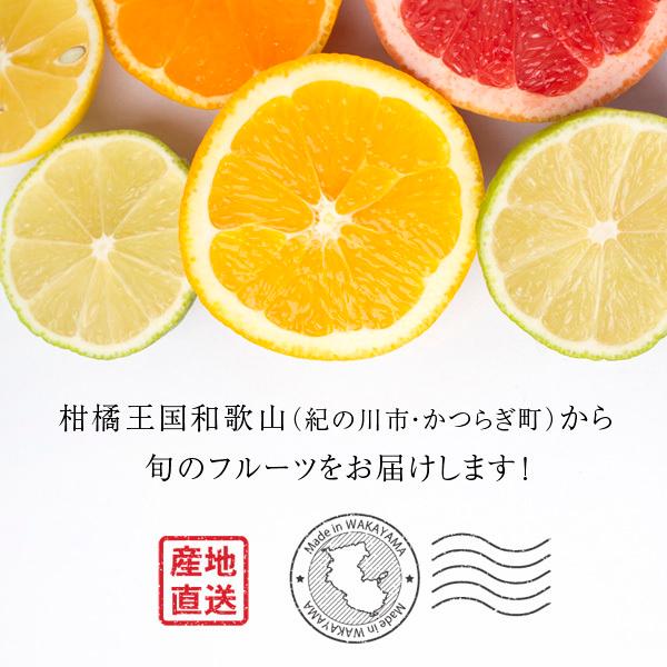 産地直送！訳あり 和歌山産富有柿（ふゆうがき）2kg ［送料無料］