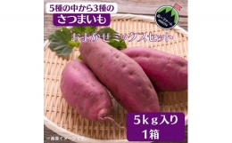 さつまいも／3種おまかせミックスセット　5kg