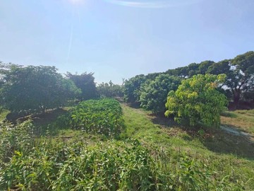 雲林土庫祖傳狀元好福氣漂亮休閒農地｜雲林縣土庫鎮崙內段