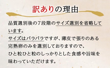 訳あり 無着色 辛子 明太子 1kg（500g×2）明太子 冷凍 明太子 切子 石巻 明太子 訳あり 明太子 めんたいこ