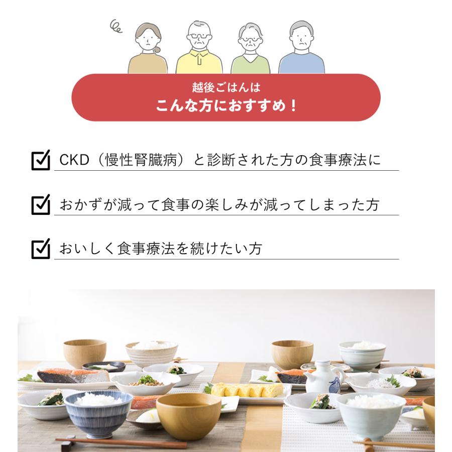 低たんぱく米 12.5越後ごはん 1ケース(180g×20パック) 腎臓病食 低タンパク米 洗米済み 米 常温保存 バイオテックジャパン