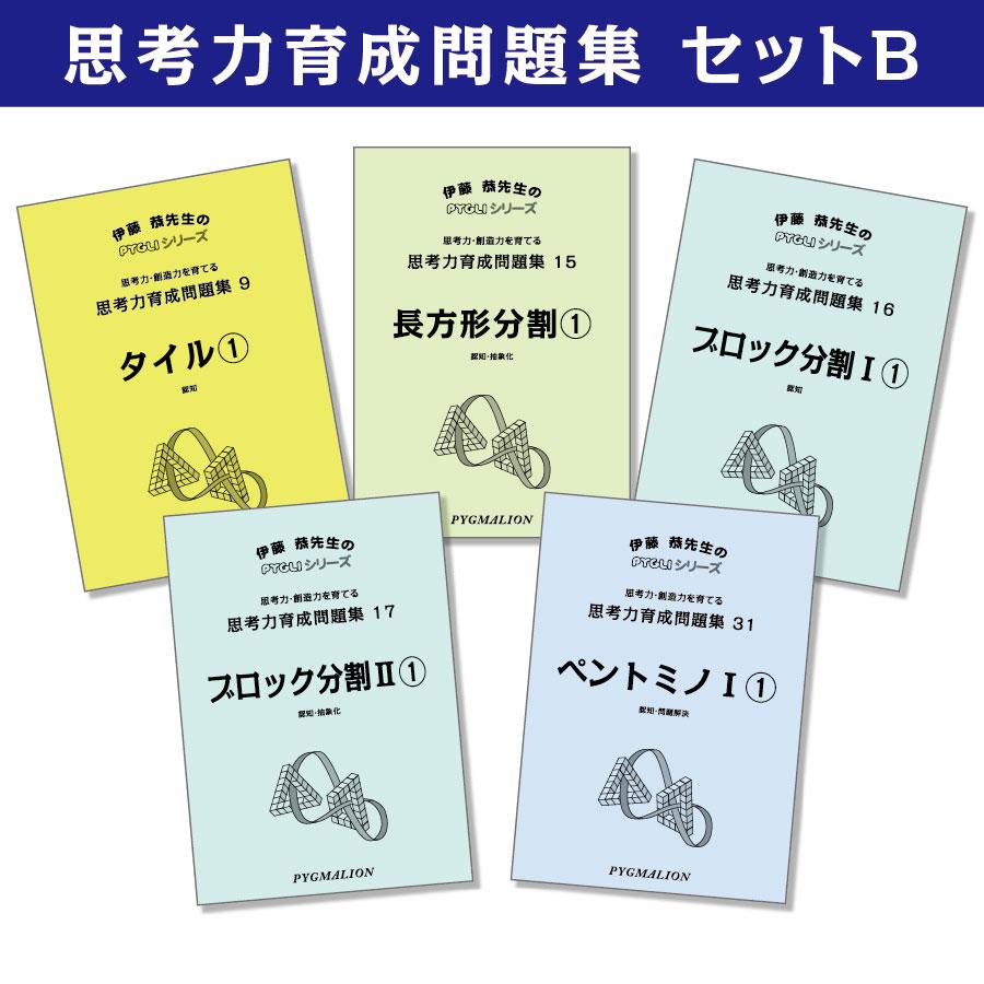 6歳児~ 思考力 パズル 思考力育成問題集 セットB