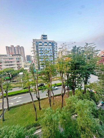 極粋/苓雅市心樹梢景觀/精品家電裝潢兩房車位｜高雄市苓雅區四維二路