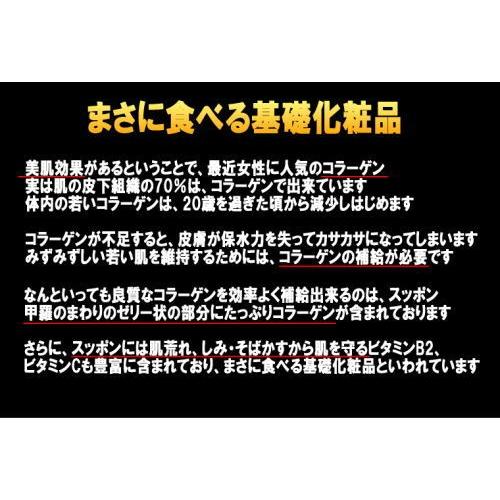 すっぽん鍋セット3〜4人前　 すっぽん お取り寄せ コラーゲンたっぷり スッポン鍋 スッポン料理