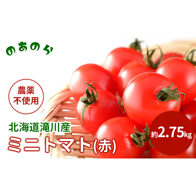  北海道 滝川市 産 ミニトマト (赤) 約2.75kg トマト 野菜 やさい みにとまと