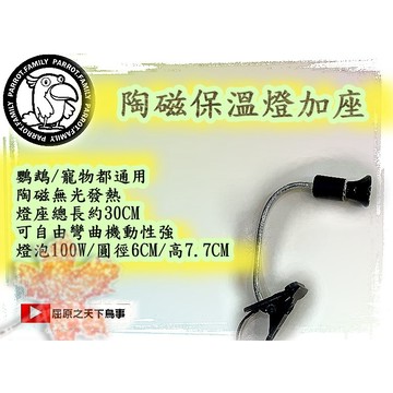 寵物保溫 鸚鵡保溫燈 加 陶瓷燈 鸚鵡幼鳥保溫