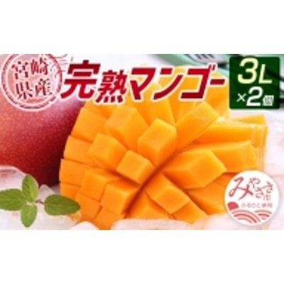 お見舞い takako様専用宮崎マンゴー8.6k - cupulaarquitetos.com.br