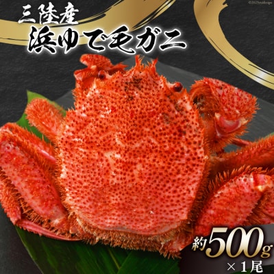 かに 三陸産浜ゆで毛ガニ 約500g [村東商店 宮城県 気仙沼市 20562140]